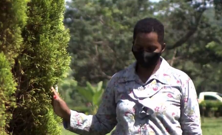 Família que manteve mulher em situação de escravidão terá que pagar 14 anos de salários