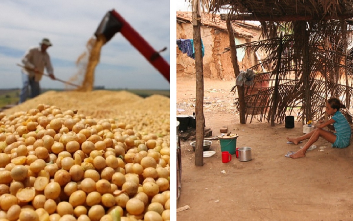 Por que milhões de brasileiros passam fome se o país colhe safras recordes?
